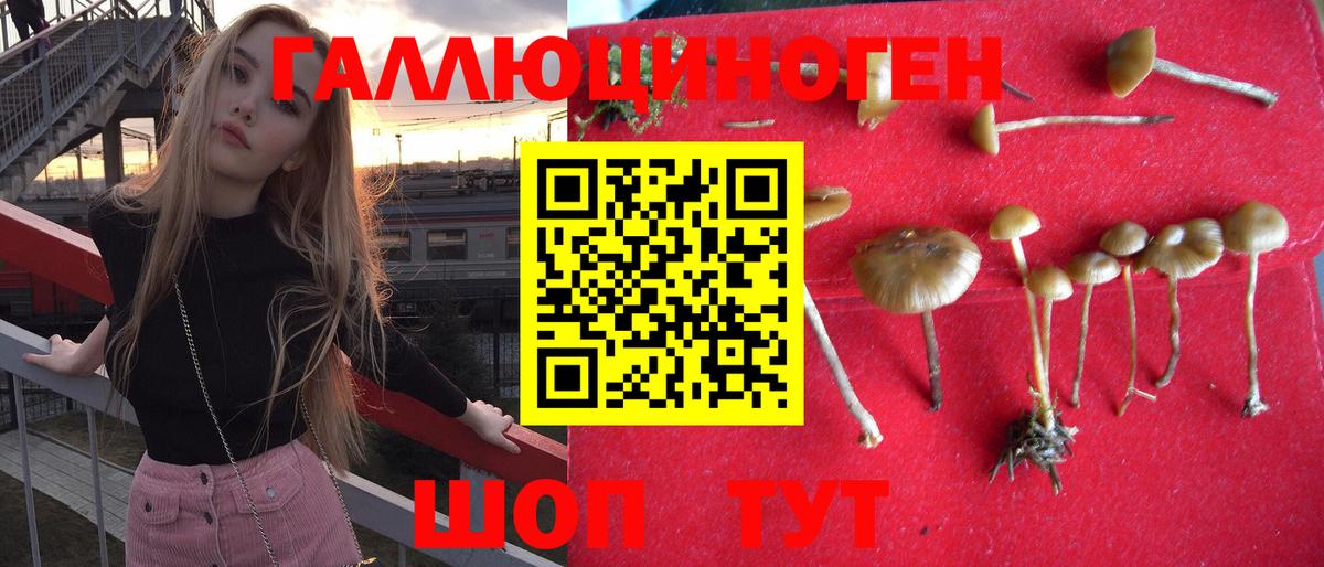 Галлюциногенные грибы Psilocybine cubensis  цена   Солнечногорск  Вход с VPN 